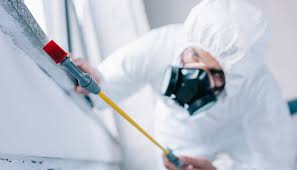 Best Pest Control for Multi-Family Homes  in Knob Noster, MO